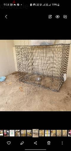 Animal Carrier / Cages