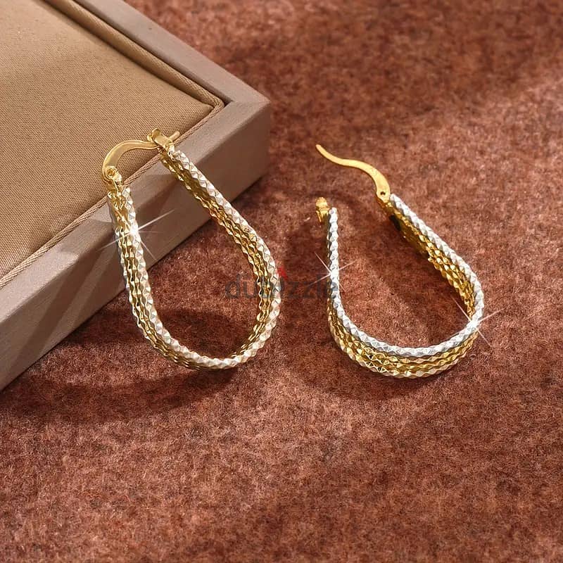 Golden Sparkling Hook Earrings 1