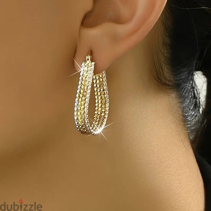 Golden Sparkling Hook Earrings 2