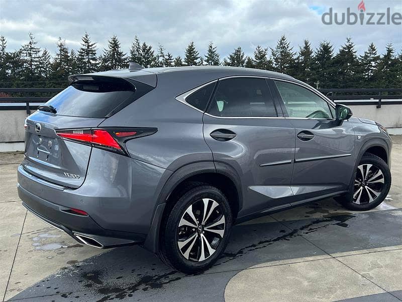 Lexus NX 300 2019 AWD 5