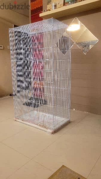 used bird cage 1