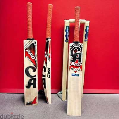 ca cricket bat