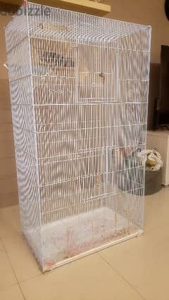 bird cage big size