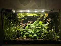 Tank with all its accessories, 60x35cm