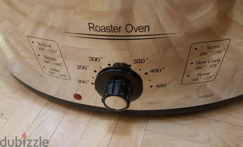 Roaster oven 1