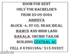 Room, Big partition and Bed space available