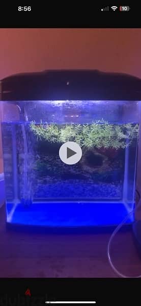 fish tank for sale 0