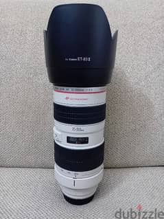 Canon EF 70-200mm F/2.8 L USM