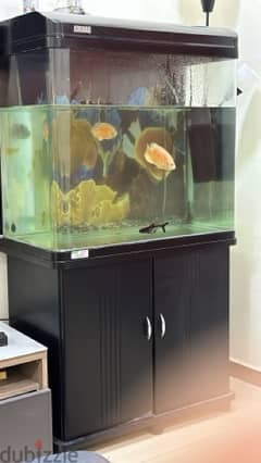 Fish Tank For Sale