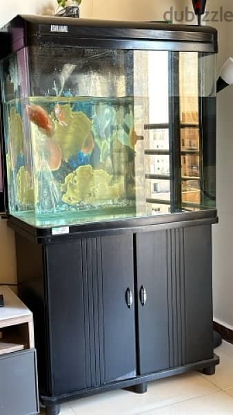 Fish Tank For Sale 1