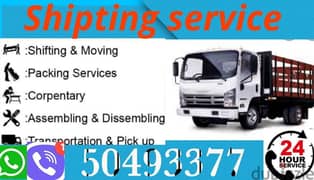 Proffisonal shipting service 50493377