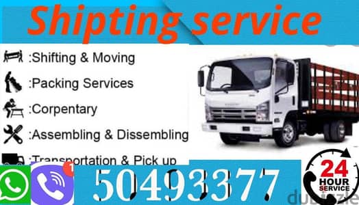 Proffisonal shipting service 50493377