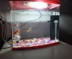 Fish Aquarium for Sale