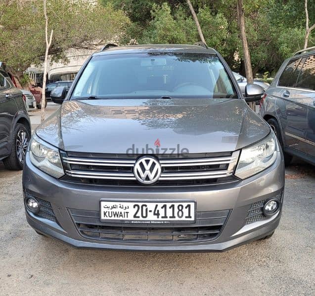 Volkswagen Tiguan 2013 1