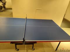 Table Tennis Table and Set