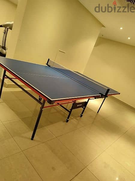 Table Tennis Table and Set 1