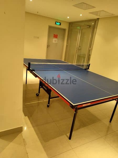 Table Tennis Table and Set 5