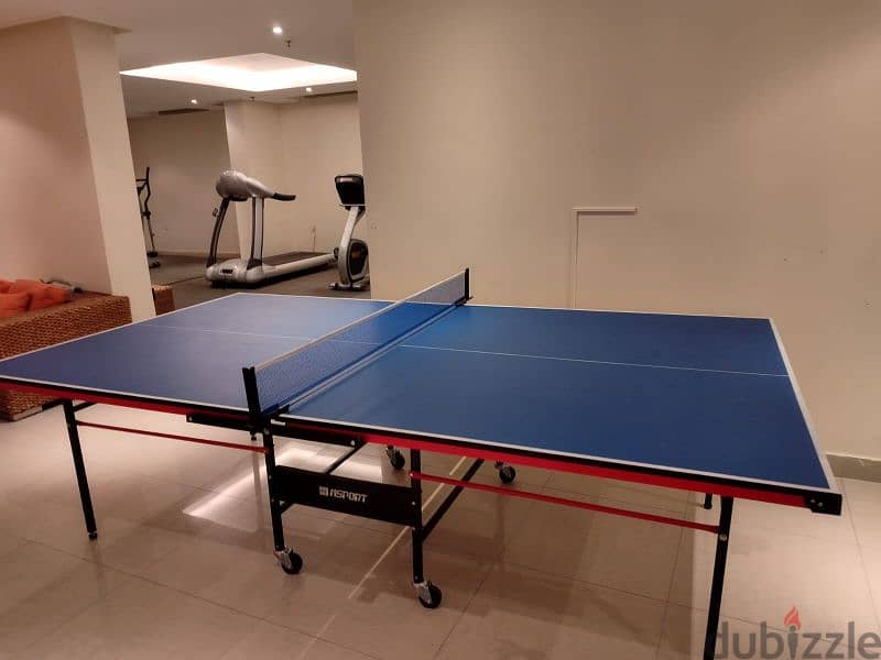 Table Tennis Table and Set 6