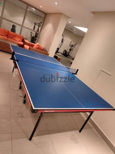 Table Tennis Table and Set 7