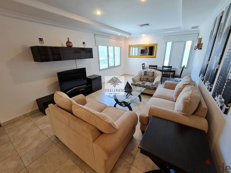 Egaial, spacious fully furnished 2 bedroom apartment 2