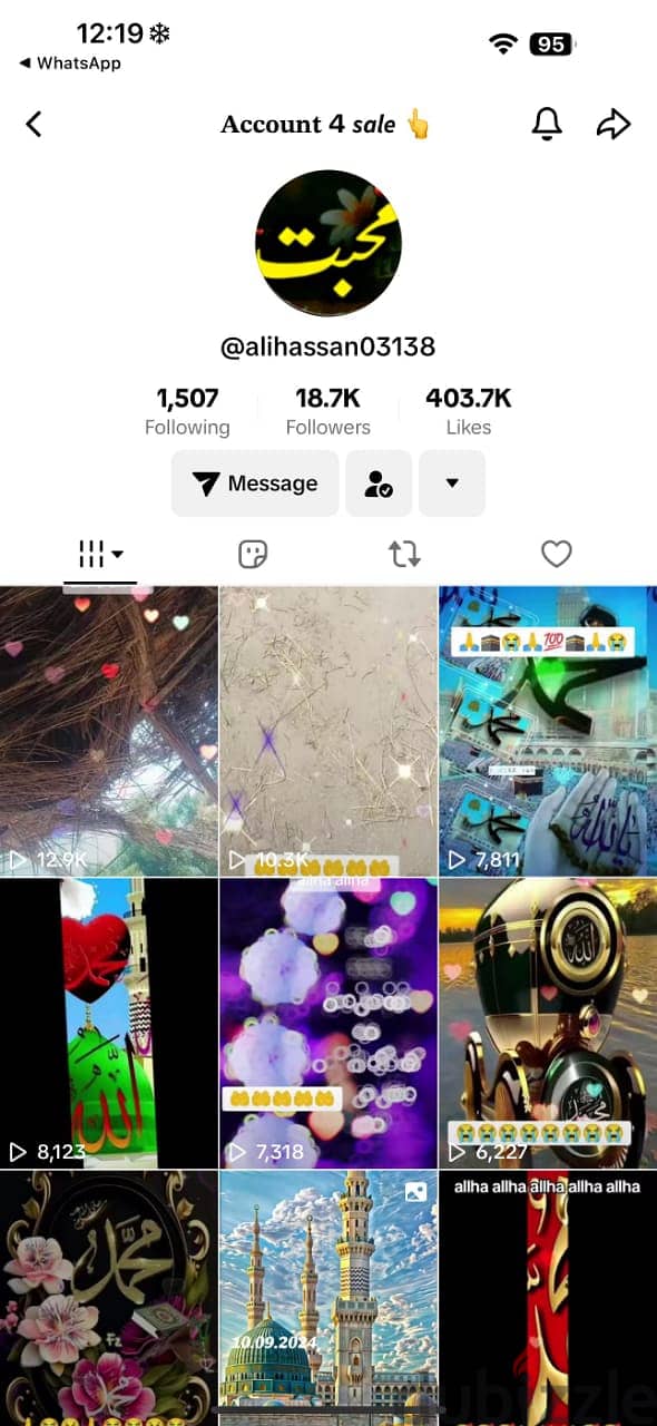 Tiktok Account for sale 30K Followerrss Plus 1