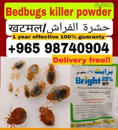 bedbugs clean powder 0