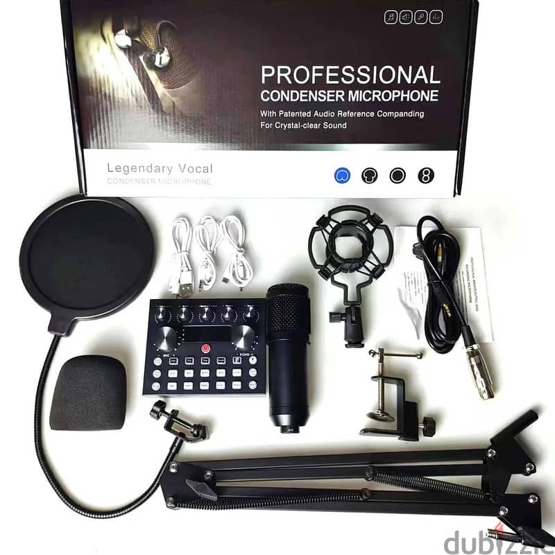 PROFESSIONAL CONDENSOR MICROPHONE 0