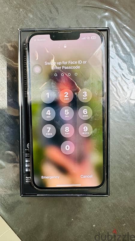 I phone13 Pro 256 GB 3