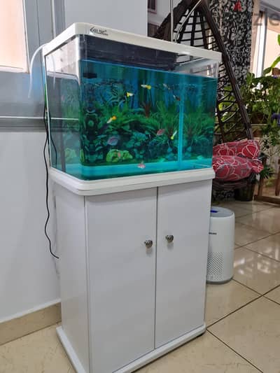 Aquarium