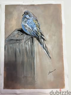 Pigeon acyrlic painting 0