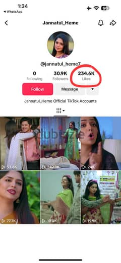 Tiktok Accounts for sale 30K Plus Followerrss