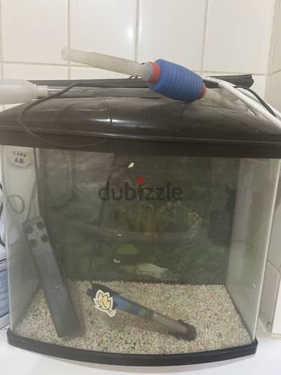 Fish tank for sale