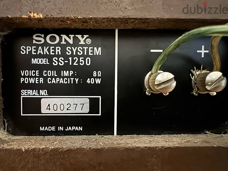 Sony Speakers 1