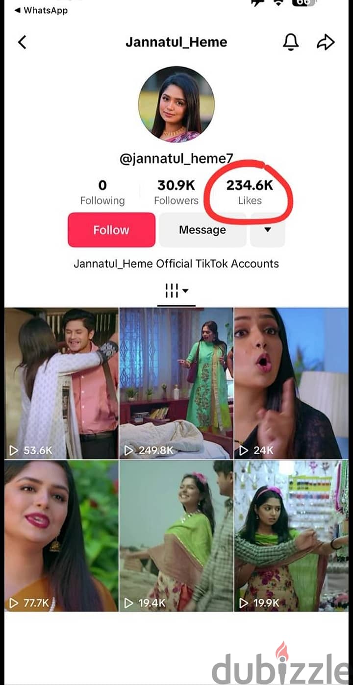 Tiktok Accounts for sale 30K Plus Followerrss 0