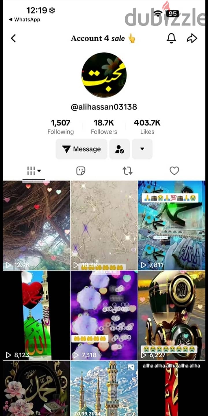 Tiktok Accounts for sale 30K Plus Followerrss 1