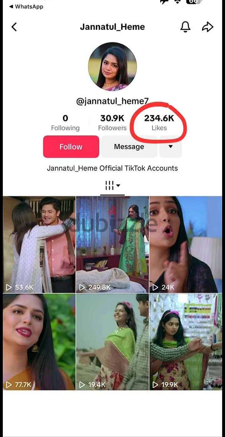 Tiktok Account for sale 30K Plus Followerrss 0