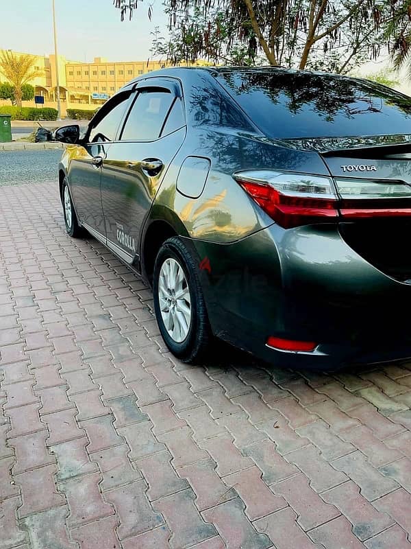 Toyota Corolla 2019 1