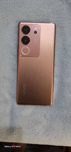 vivo