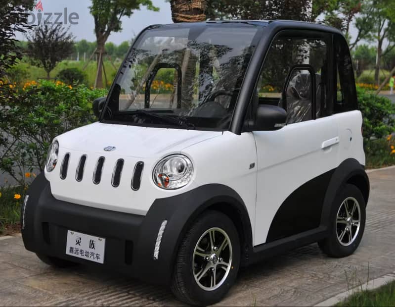 2 Seaters Mini Electric Car For Adults Street Legal Electric Car 0