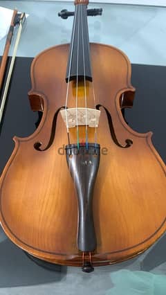 Grate luxurious Violin 0