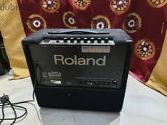 Roland speaker with multiple input 0