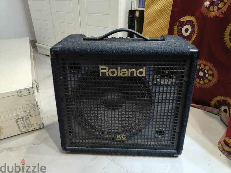 Roland speaker with multiple input 1