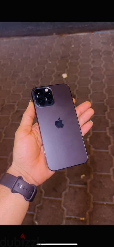 iPhone 13 Pro Max 256gb