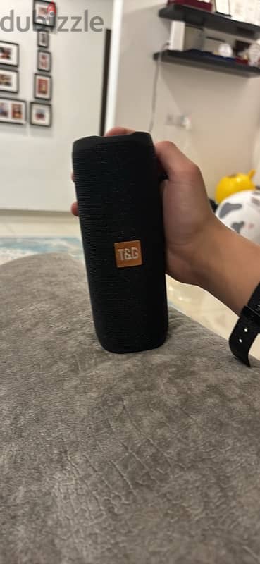 T&G Bluetooth Speaker 1