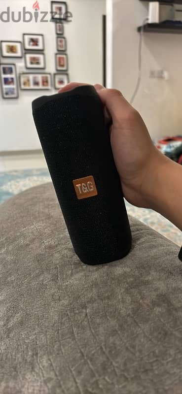 T&G Bluetooth Speaker 2