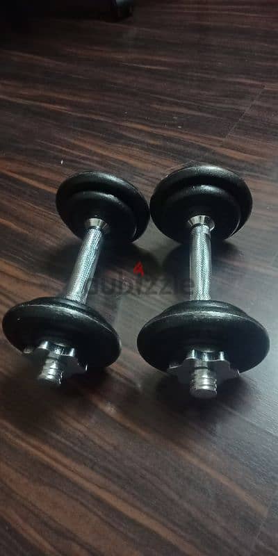 Hand dumbbells for exercise