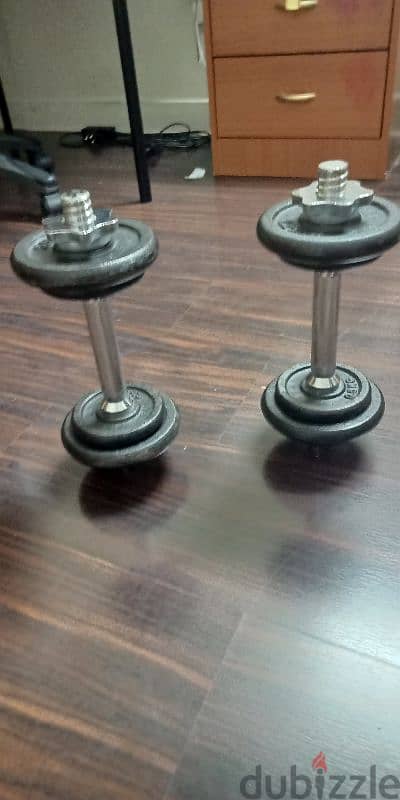 Hand dumbbells for exercise 2