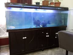 2 meters aquarium or  tank for sale 0