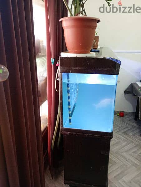 2 meters aquarium or  tank for sale 2