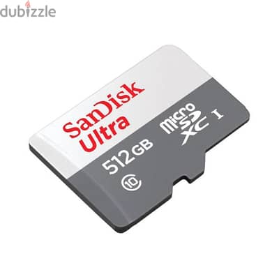 Sandisk